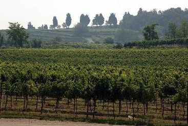 هتل Agriturismo Nicobresaola