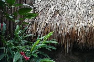 Oasis Hostal