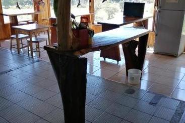 تختخواب و صبحانه Hostel La Suerte