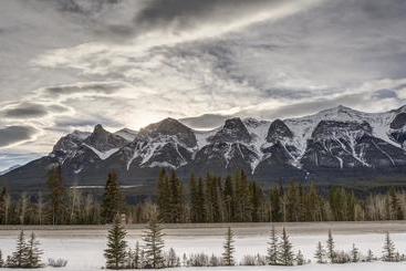 هتل Inn Of The Rockies