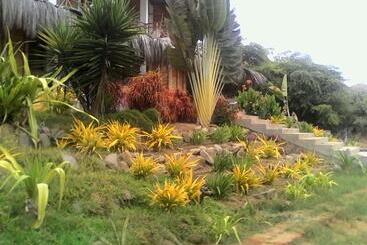Bed and Breakfast El Delfin