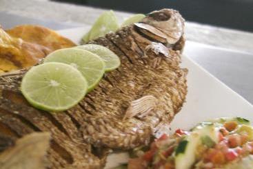 هتل Y Restaurante La Quinta