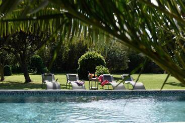 Bed and Breakfast Mas De Bouvet En Camargue