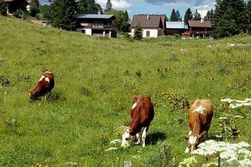 Gite De Vacances Residence La Babaute Les Rousses