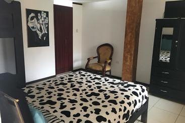 هاستل The Backpacker Hostal