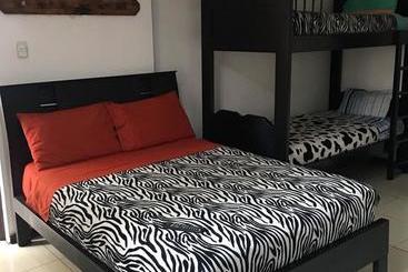 هاستل The Backpacker Hostal