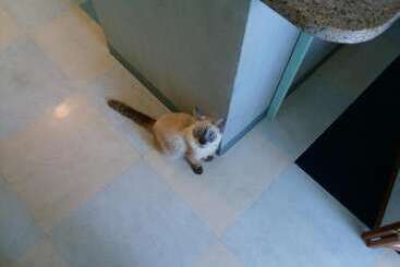 פנסיון Guest House Sea Glass