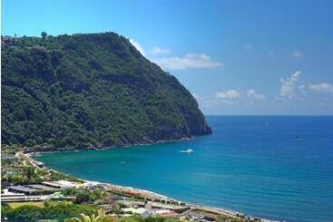 膳宿费 Room In B&b   Standard Double Or Twin Room In Ischia For 2 People