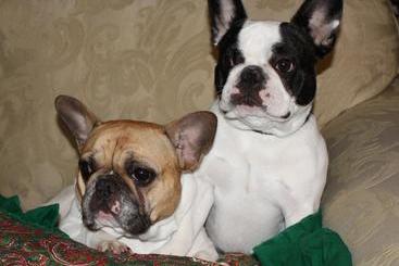 هتل Le Papillon Bed & Breakfast