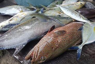 پانسیون Hilda Guest House