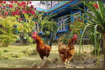 Robin’s Nest Hotel And Restaurant