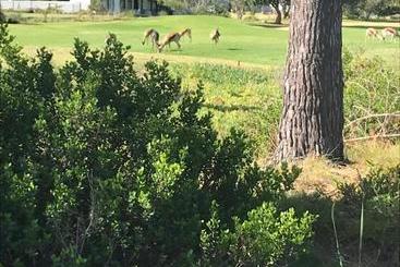 تختخواب و صبحانه Francolin Manor