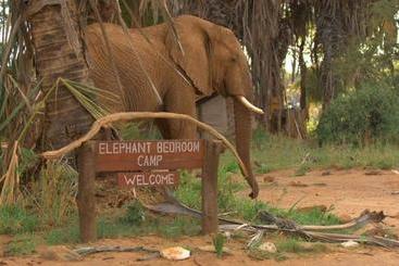 هتل Elephant Bedroom Camp