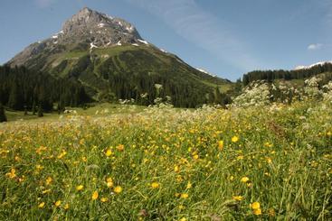 هتل Garni Lärchenhof