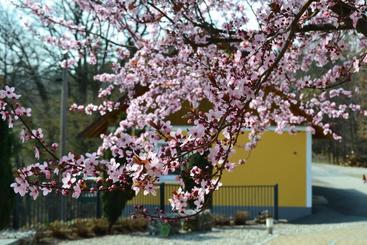 هتل Villa Rosa