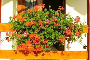 B&b Le Petit Normand