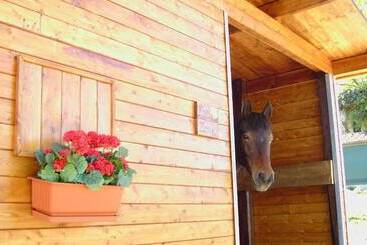 مبيت وإفطار Agriturismo Poggio Del Drago