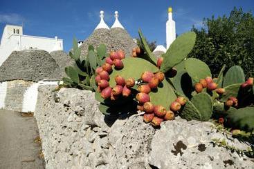 Bed & Breakfast La Collinetta