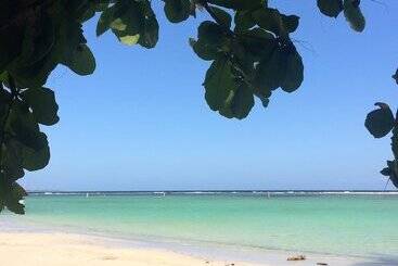 تختخواب و صبحانه Eco Hotel Club Rolling Stone
