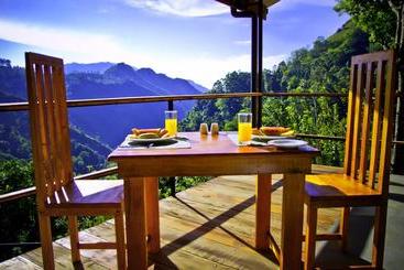 تختخواب و صبحانه Ella Adam S View