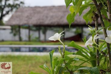 استراحتگاه Nilaveli Ayurveda Center