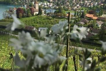 هتل Lötschberg