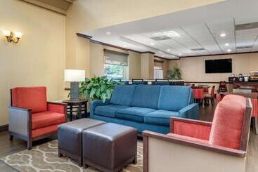 호텔 Comfort Inn & Suites Suwanee   Sugarloaf