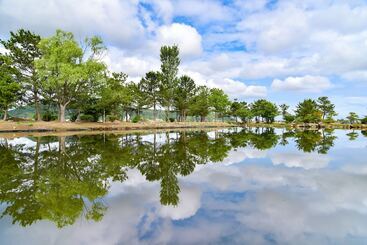 Ryokan Kosenkaku Yozyokan