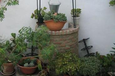 استراحتگاه El Corral De Dolores