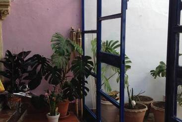 تختخواب و صبحانه El Sueño Hostel