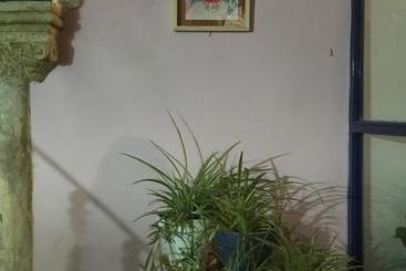 تختخواب و صبحانه El Sueño Hostel