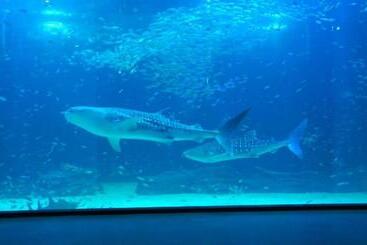 Steigenberger Hotel Sunac Nanchang