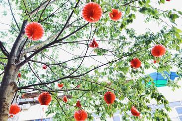 Chengdu Dreams Travel International Youth Hostel