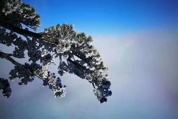 هتل Huangshan Joymoon