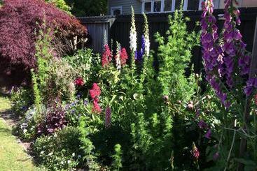Garden Bed And Breakfast
