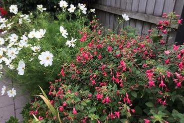 Garden Bed And Breakfast