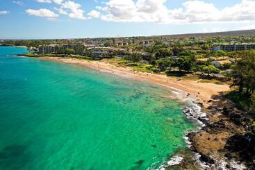 شقة فندقية Campcar Maui Jeeps Suvs Hybrid Camper Van Rentals With Equipment And Travel Advice