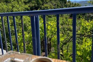 פנסיון Lala House