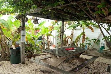 Pedro S Inn Backpackers Hostel