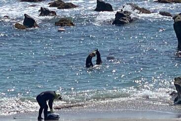 פנסיון Oasis Wadaura   Vacation Stay 89769v