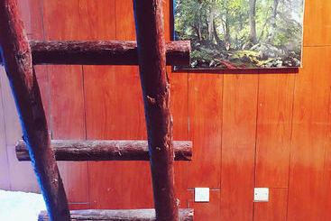 هاستل Living Art Museum Inn
