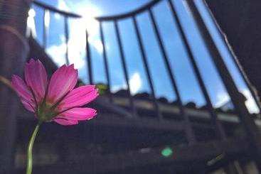 هتل Heshun Xinyue Boutique Inn