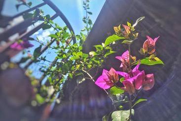 هتل Heshun Xinyue Boutique Inn