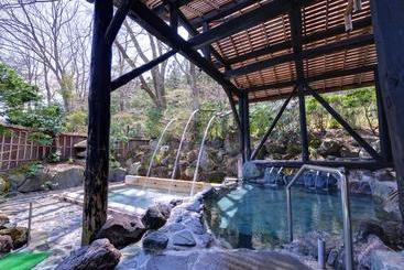 ریوکان Sachinoyu Onsen