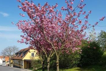 Villum - Allinge