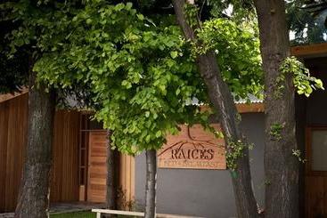تختخواب و صبحانه Raices Bed&Breakfast