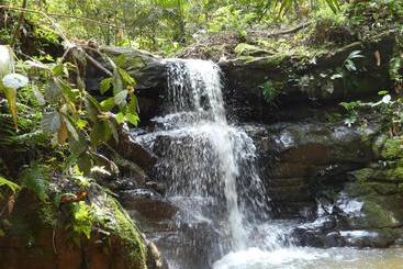 هتل Qasikay Selva Lodge