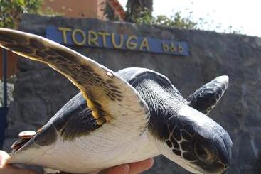 Tortuga B&b