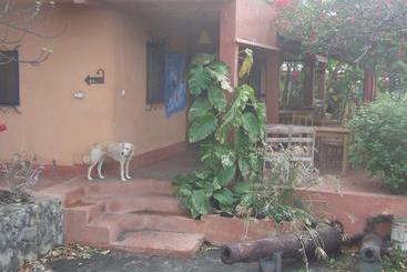 Tortuga B&b