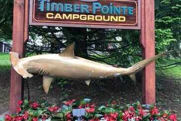 호텔 Timber Pointe Resort
